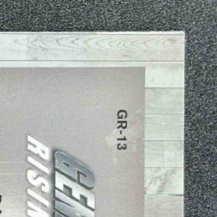DANNY WOLF 2025-26 TOPPS CHROME #GR-13 GENERATION RISING REFRACTOR RC NETS