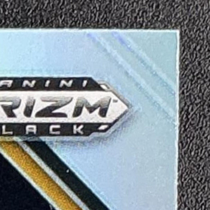 DAVE ROBINSON 2025 PANINI PRIZM BLACK #59 SILVER PACKERS