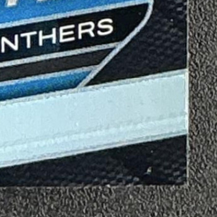 JULIUS PEPPERS 2025 PANINI PRIZM BLACK #17 SILVER PANTHERS