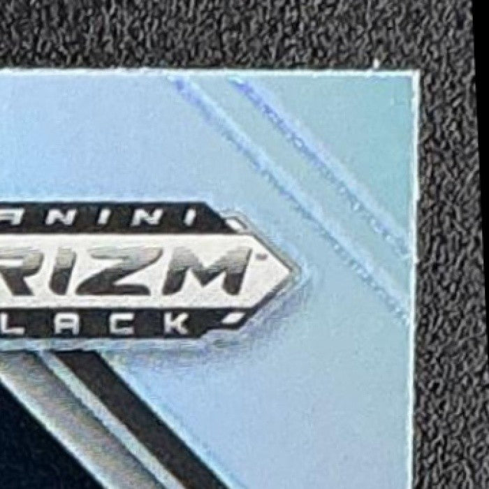 HOWIE LONG 2025 PANINI PRIZM BLACK #110 SILVER RAIDERS