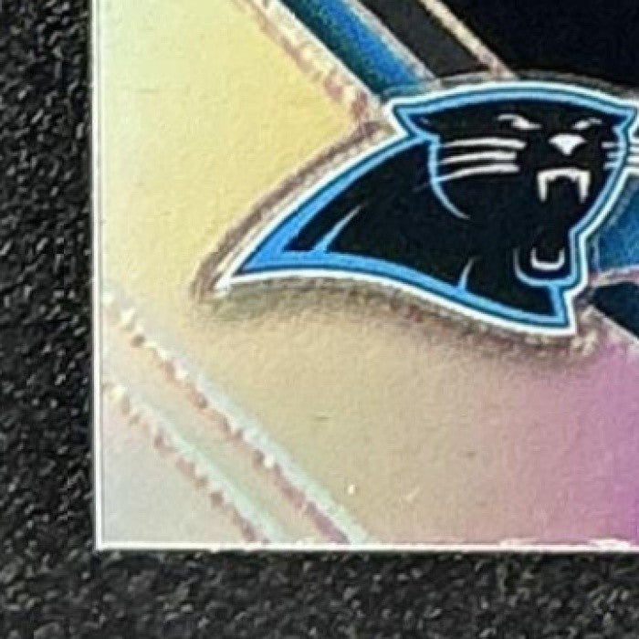 JULIUS PEPPERS 2025 PANINI PRIZM BLACK #17 SILVER PANTHERS