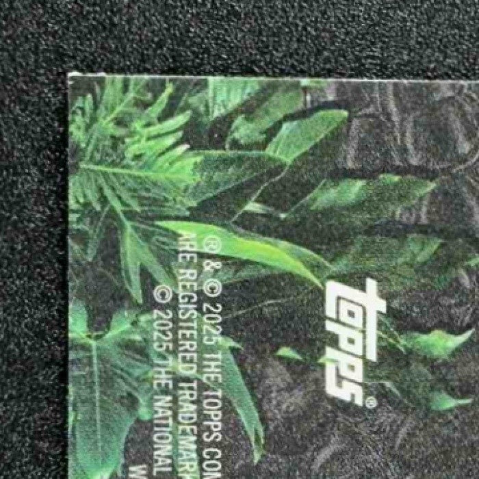 STEPHEN CURRY 2024-25 TOPPS CHROME #INS-9 INSTINCT WARRIORS