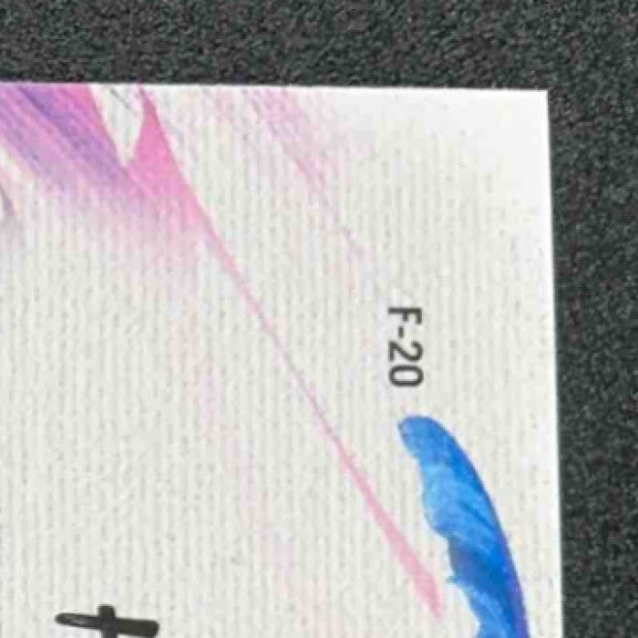 DEVIN HESTER 2024 TOPPS CHROME #F-20 FINESSE REFRACTOR BEARS