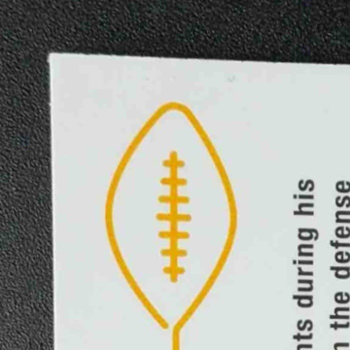 TROY POLAMALU 2024 TOPPS CHROME #162 PRISM REFRACTOR STEELERS