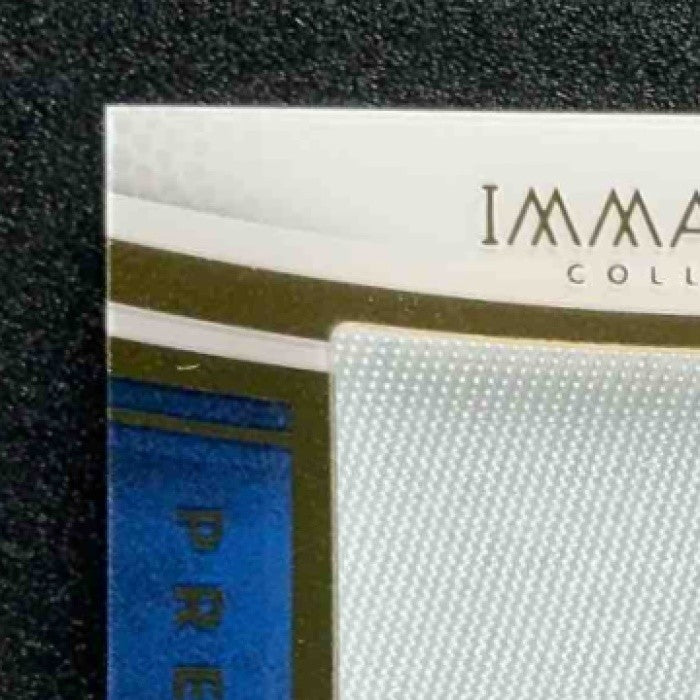ADAM VINATIERI 2025 PANINI IMMACULATE PREMIUM PATCH AUTO /99 PATRIOTS
