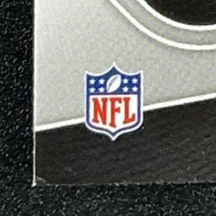 JULIUS PEPPERS 2025 PANINI PRIZM BLACK #17 SILVER PANTHERS
