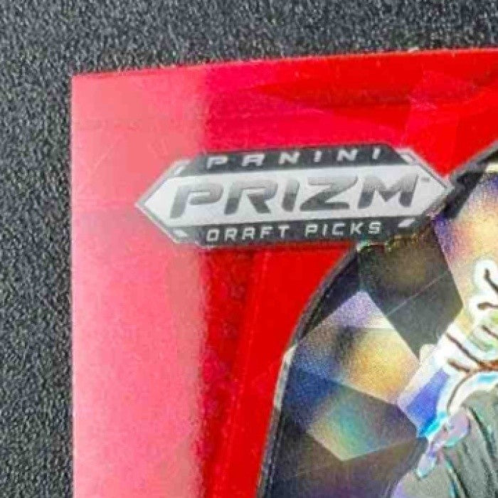 SAVION WILLIAMS 2025 PANINI PRIZM DRAFT PICKS #119 RED ICE RC HORNED FROGS