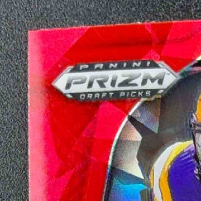 BRADYN SWINSON 2025 PANINI PRIZM DRAFT PICKS #52 RED ICE RC TIGERS