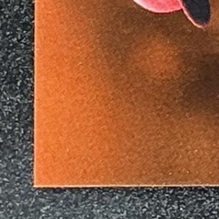 ZACH NETO 2025 TOPPS STADIUM CLUB #37 BRONZE FOIL ANGELS