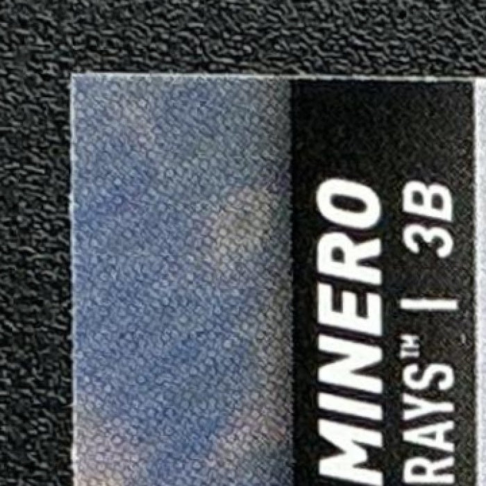 JUNIOR CAMINERO 2025 TOPPS STADIUM CLUB #146 RAYS