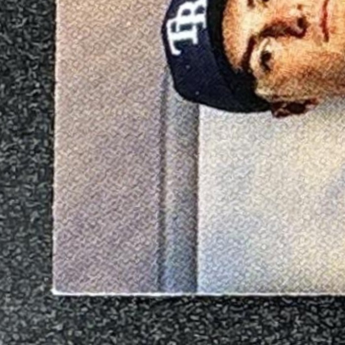 SHANE MCCLANAHAN 2025 TOPPS STADIUM CLUB #151 RED FOIL RAYS