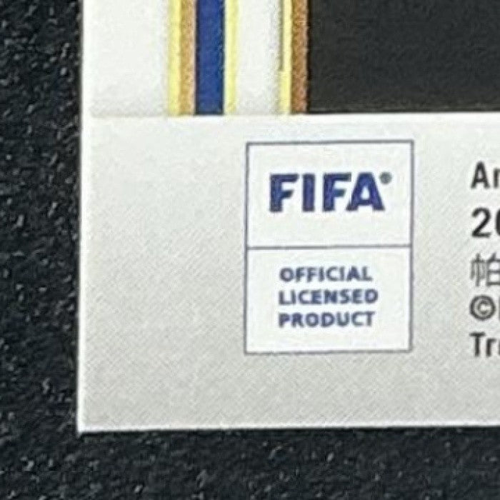 LUCAS BERGVALL 2024-25 PANINI SELECT FIFA #192 MEZZANINE ICE RC SWEDEN