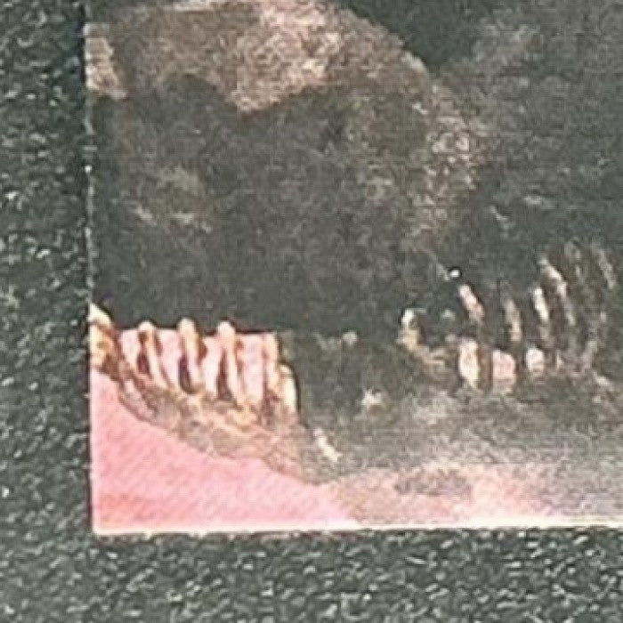 THE RANCOR 2025 TOPPS CHROME STAR WARS GALAXY #45
