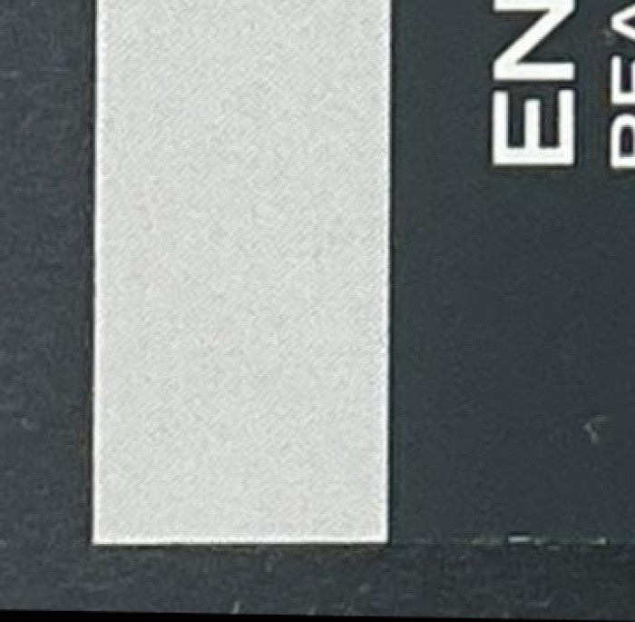 ENDRICK 2024-25 TOPPS UEFA CLUB COMPETITIONS #100 RC REAL MADRID