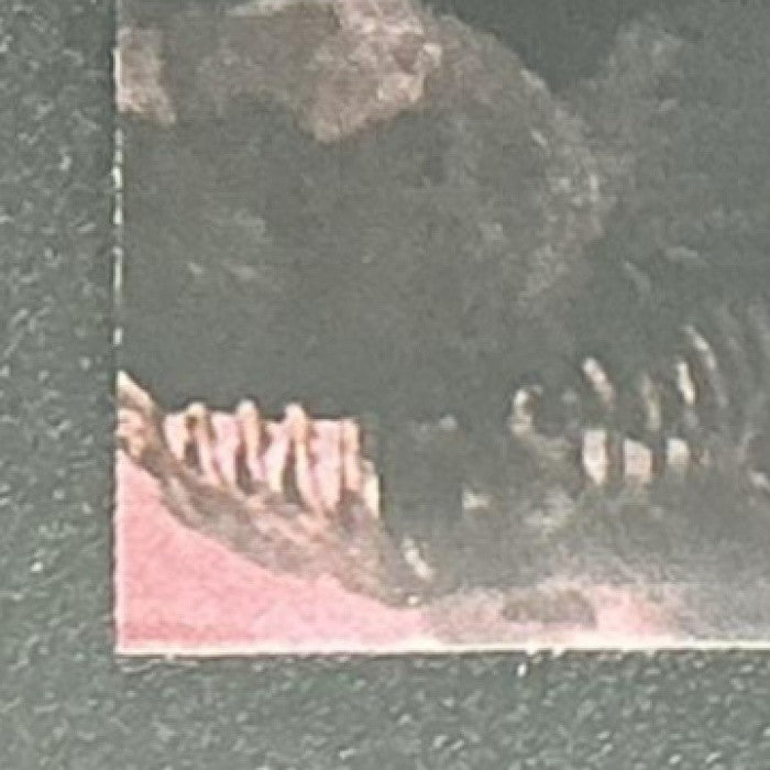 THE RANCOR 2025 TOPPS CHROME STAR WARS GALAXY #45