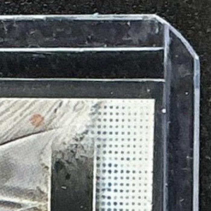 CURTIS MEAD 2024 TOPPS INCEPTION #103 SHORT PRINTS RC RAYS
