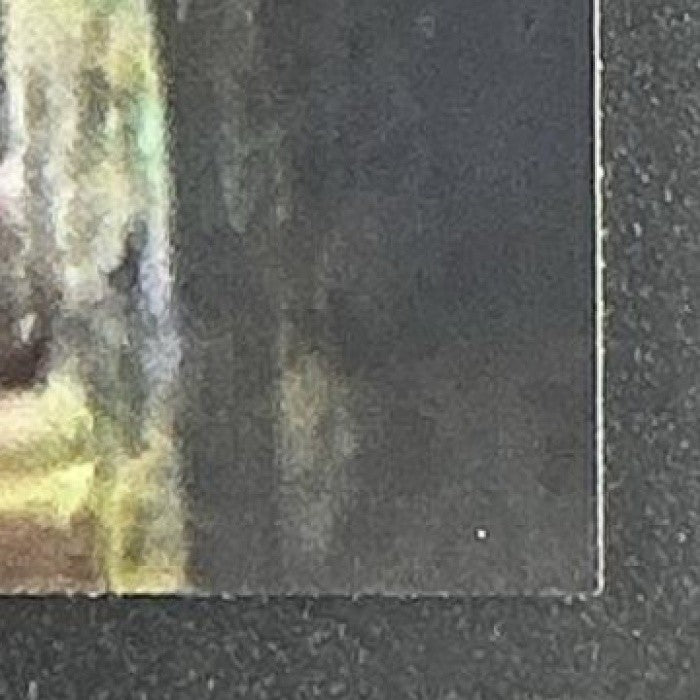 JOYRIDE 2025 TOPPS CHROME STAR WARS GALAXY #18