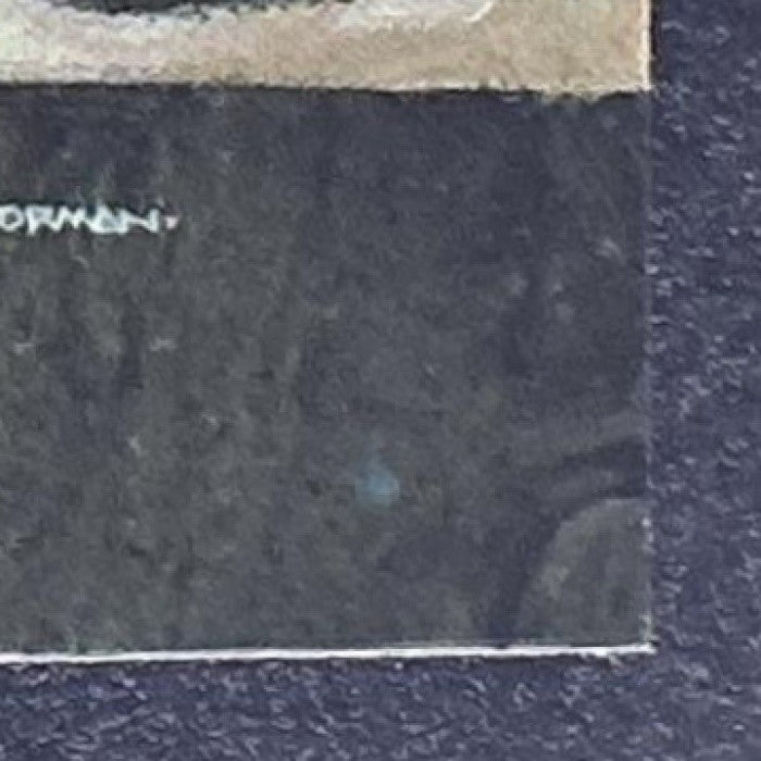 I DON'T THINK THEY'RE GOING TO LET US IN 2025 TOPPS CHROME STAR WARS GALAXY #47