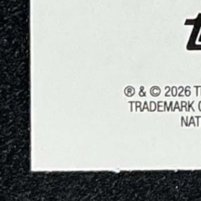 DANNY WOLF 2025-26 TOPPS HOOPS #246 RC NETS