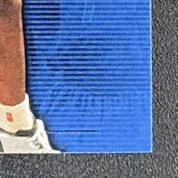 BEN WALLACE 2003-04 UPPER DECK HONOR ROLL #22 PISTONS