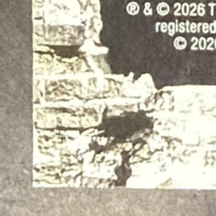 JASE RICHARDSON 2025-26 TOPPS CHROME X CACTUS JACK #85 RC MAGIC