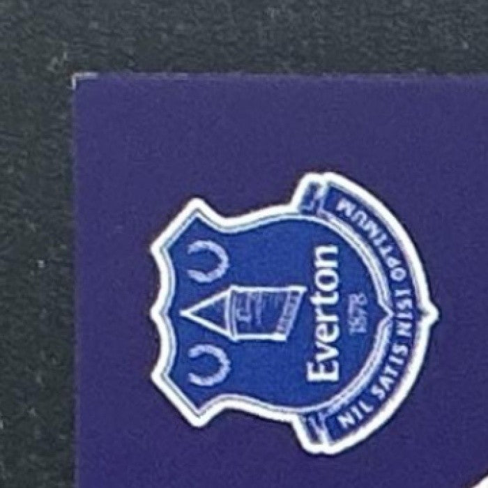 JAMES GARNER 2025-26 TOPPS PREMIER LEAGUE #137 YELLOW EVERTON