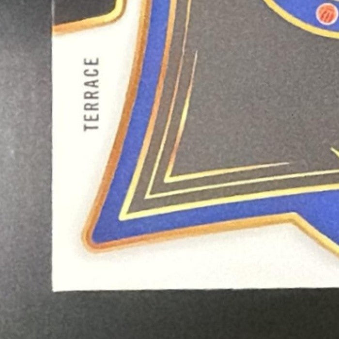 JADON SANCHO 2024-25 PANINI SELECT PREMIER LEAGUE #82 TERRACE GOLD 1/10 CHELSEA