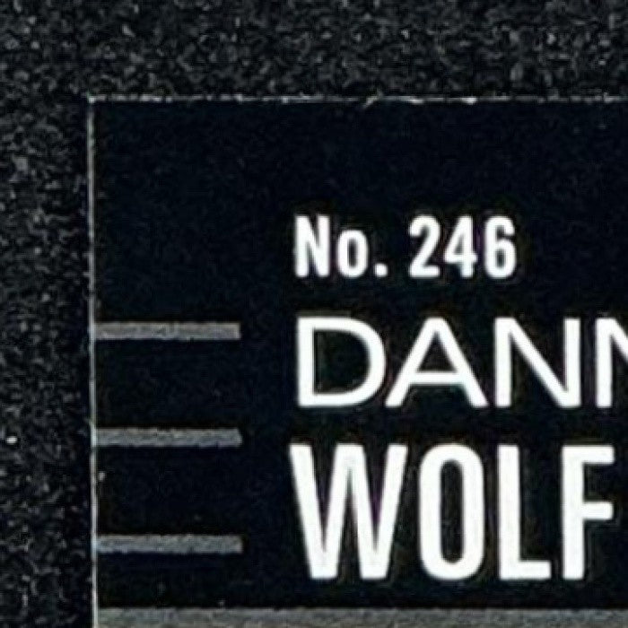 DANNY WOLF 2025-26 TOPPS HOOPS #246 RC NETS