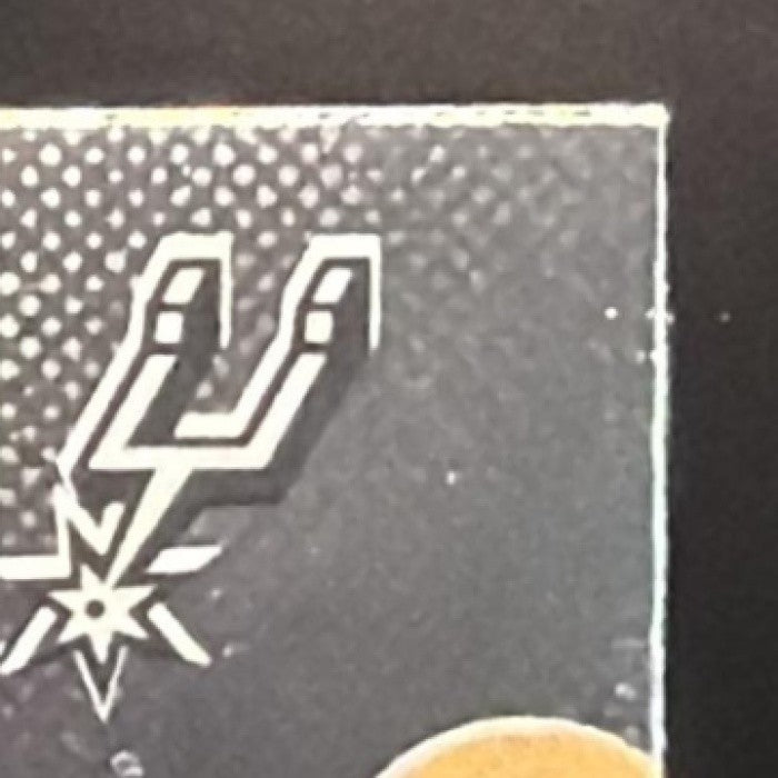 STEPHON CASTLE 2025-26 TOPPS FINEST #100 COMMON SPURS