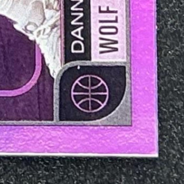 DANNY WOLF 2025-26 TOPPS HOOPS #246 RC NETS