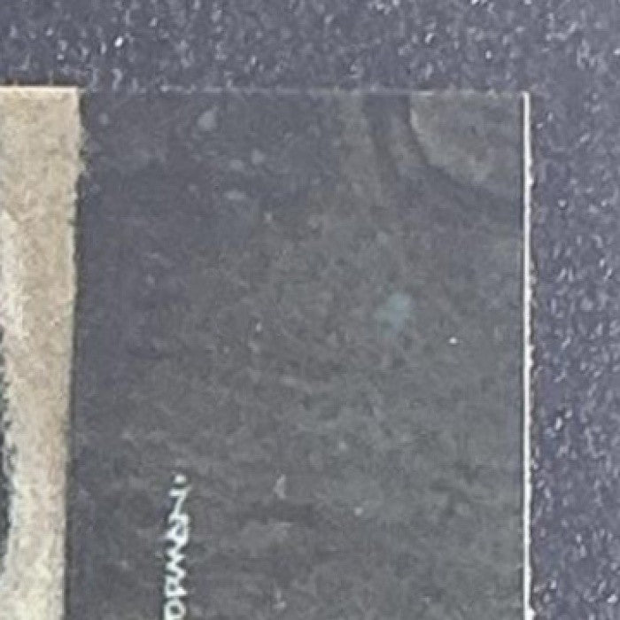 I DON'T THINK THEY'RE GOING TO LET US IN 2025 TOPPS CHROME STAR WARS GALAXY #47