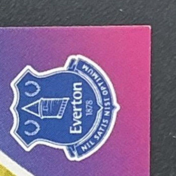 JAMES GARNER 2025-26 TOPPS PREMIER LEAGUE #137 YELLOW EVERTON