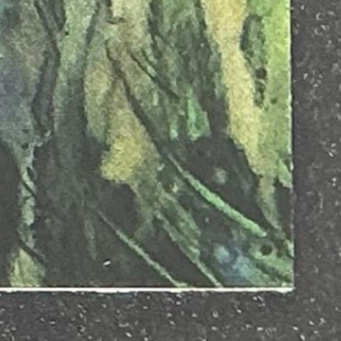 KIT FISTO 2025 TOPPS CHROME STAR WARS GALAXY #44