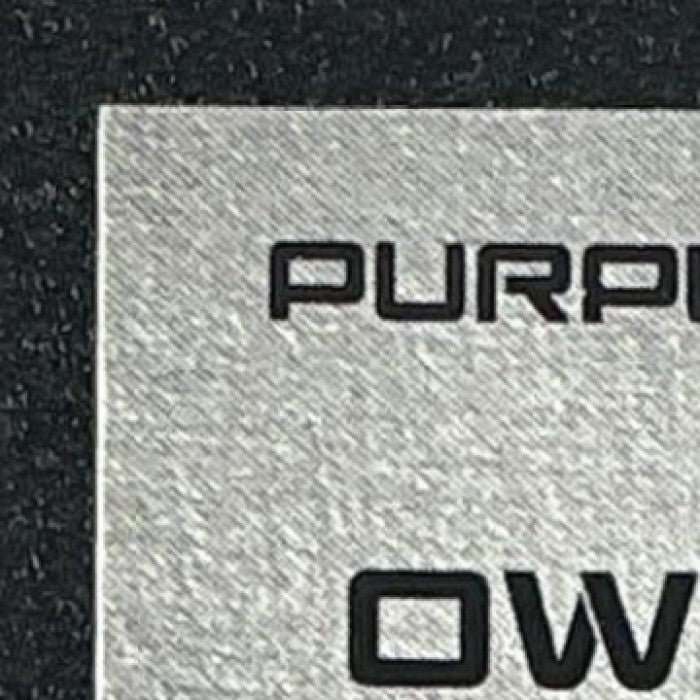 OWLMAN 2025 SKYBOX METAL UNIVERSE BATMAN #176 PURPLE FX